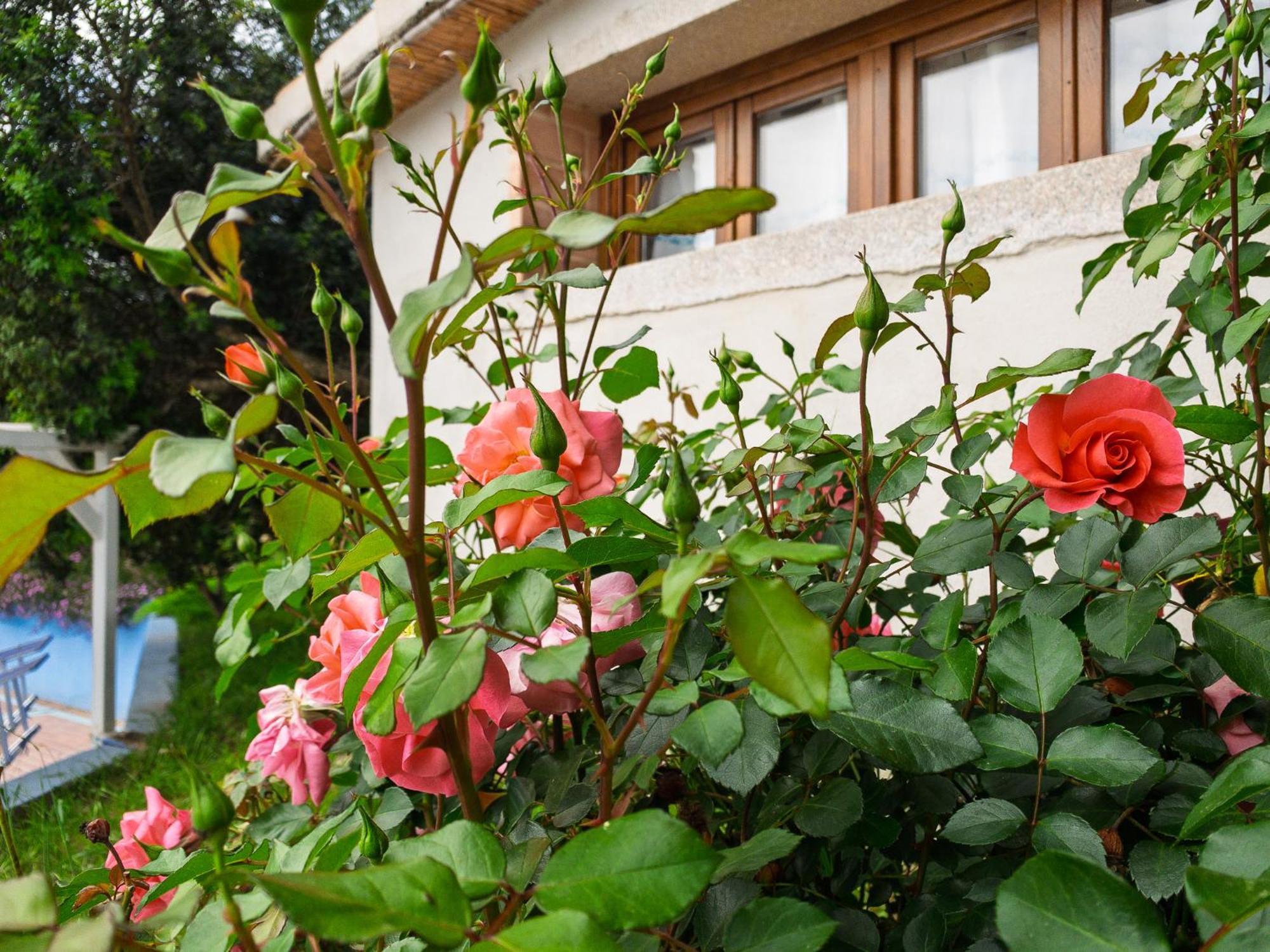 Agriturismo Guparza ポザーダ エクステリア 写真
